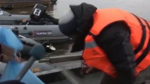 Удомля  Спортивная ловля рыбы на спининг