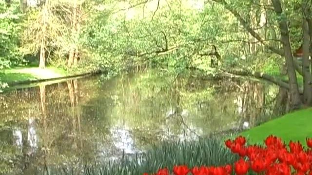 The Most Beautiful Flower Garden - Keukenhof, The Netherlands смотреть онлайн