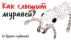 Как СЛЫШИТ МУРАВЕЙ (и другие создания)? — Научпок