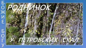 Родничок у Петропавловских скал