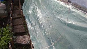 Эффект заглубленной теплицы зимой.