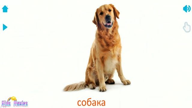 ЗВУКИ ЖИВОТНЫХ для самых маленьких - развивающие мультики для детей - как говорят животные смотреть онлайн