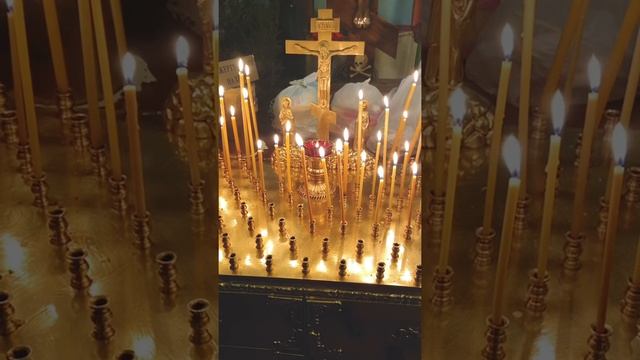 СВЕТИК МОЙ СВЕТЛАНА ВЕЧНАЯ ПАМЯТЬ ? 9 дней ? Помолчим…