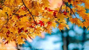 Приехав на вызов, врач скорой застыла на месте, увидев себя на фотографии в чёрной рамке...