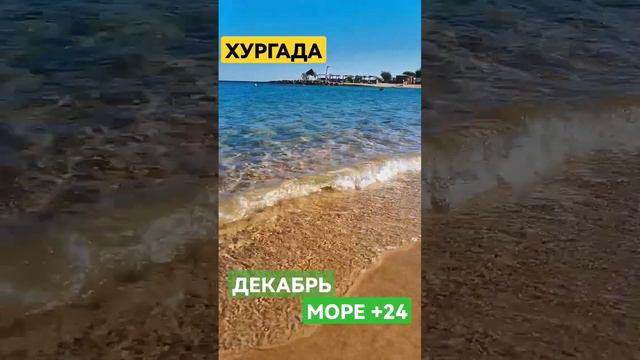 ХУРГАДА, КРАСНОЕ МОРЕ +24