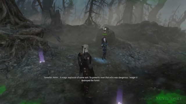 The Witcher 3 Wild Hunt Walkthrough Part 101 · Main Quest: Echoes of the Past (PS4 PC Xbox One) смотреть онлайн