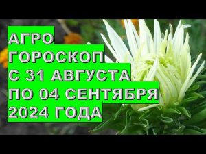 Агрогороскоп с 31 августа по 04 сентября 2024 Agrohoroscope from August 31 to September 04, 2024