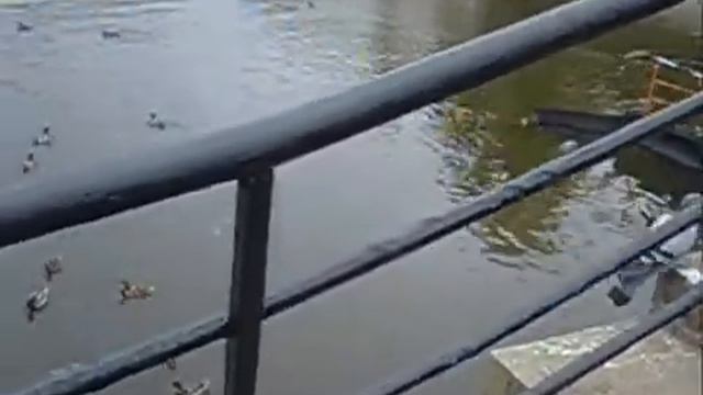 Водоотводный канал смотреть онлайн