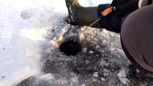 Вот это рыбалка, наловили все! смотреть онлайн