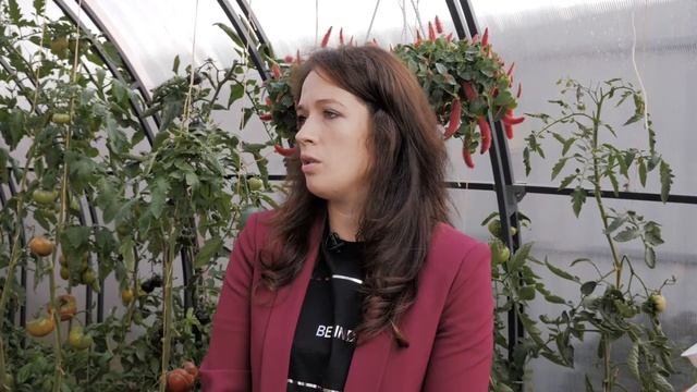 Теплица «Богатырь Премиум». Отзыв покупателя