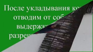 Упражнения для команды лежать, три варианта кормления,поощрения,подкрепления собаки