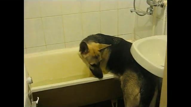 Шеля в ванной смотреть онлайн