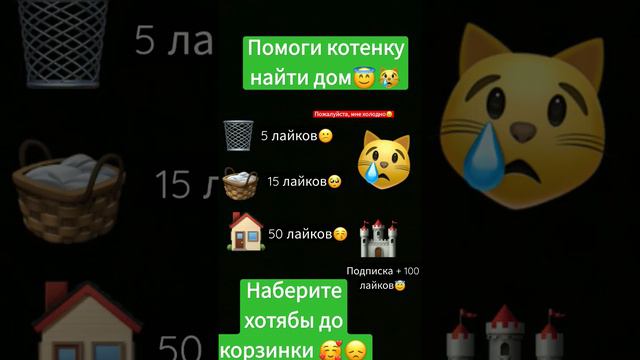 Сделайте свой правильный выбор где будет жить этот котёнок 🥺