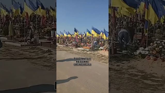 Свежее видео с харьковского кладбища