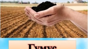 3 класс, 3 четверть Естествознание, урок 2, Основной состав почвы