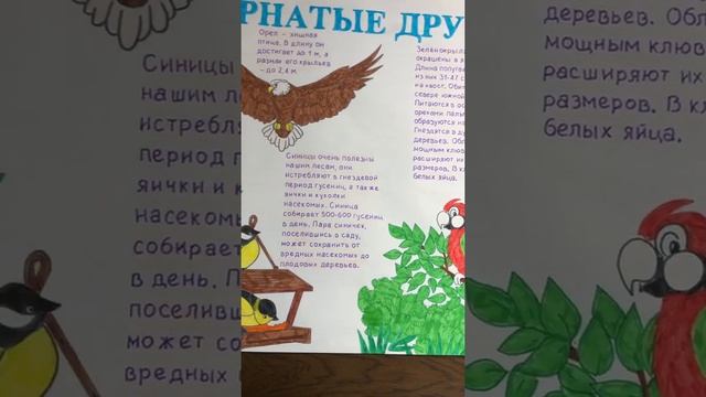 Стенгазета « Наши пернатые друзья» на День Птицы