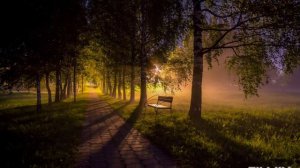 ПО АЛЕЕ НОЧЬЮ ЛУННОЙ романэ гиля