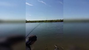 Рыбалка.Сорочий лог рекорд 2016(12.08.16)