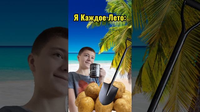 Моё типичное лето