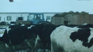 Александр Нахманович, колхоз "Трудовой Пахарь", Акжар, Буденновка, 1985 год