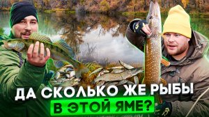 Люди у которых клюёт | Выпуск 55 | Да сколько же рыбы в этой яме?