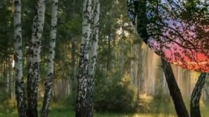 Пензенская область , село Поим . Светлой памяти  ??