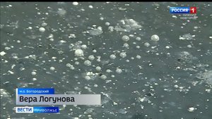 Речка Прорва: пытка запахом длится годами
Источник: https://vestinn.ru/news/society/181430/?bitrix_i