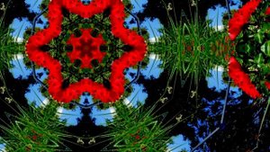 639 Гц ➤ Гармонизация отношений в семье | Перезагрузка отношений | Привлечение любви во всех формах