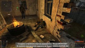 Stalker "Золотой шар или приключения Жекана завершение" Голова бешеного тушкана и ПДА Кирилла
