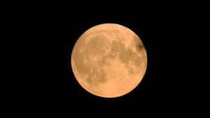 Ночная охота осенью,с тепловизором.