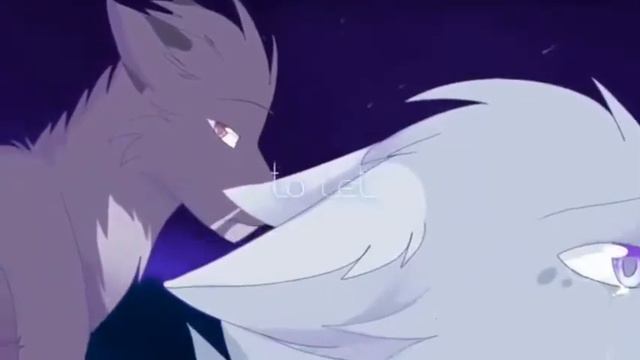 Коты воители|Клип|Я устала|Ч.О смотреть онлайн