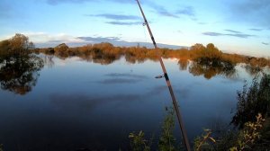 РЫБАЛКА В НАВОДНЕНИЕ. Рыбалка на СПИННИНГ. Поймал хищника на блесну. Желтощек на амуре.