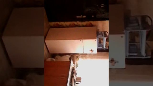 VID 20151103 230414 смотреть онлайн