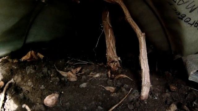 Виноград-когда открывать виноград после зимы,весна 2019,новичку на заметку!!