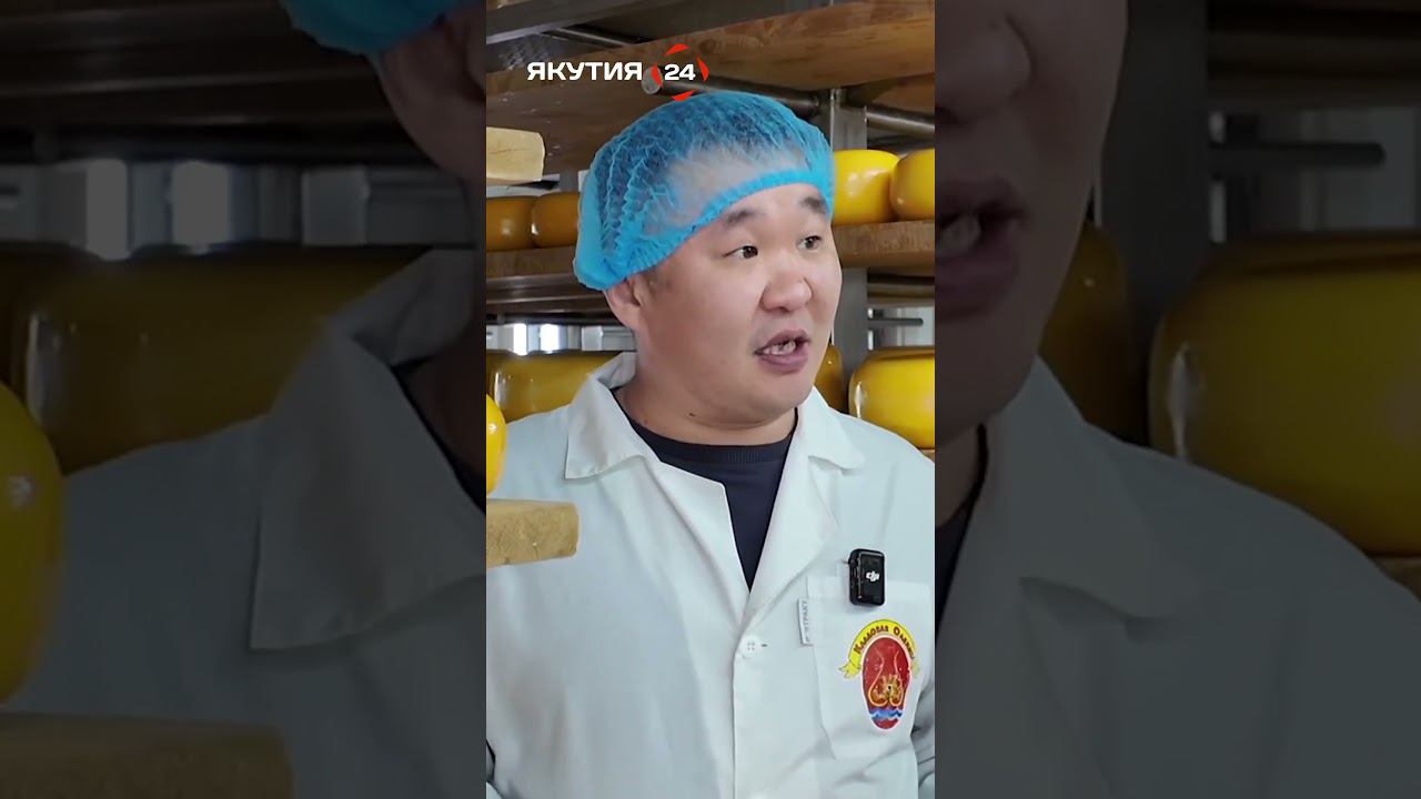 Олекминский сыр - самый вкусный в Якутии!/Olekminsky cheese is the most delicious in Yakutia!