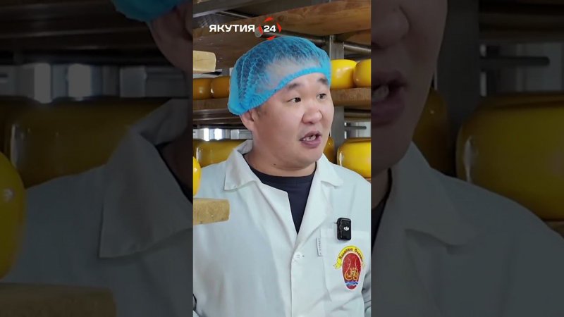 Олекминский сыр - самый вкусный в Якутии!/Olekminsky cheese is the most delicious in Yakutia!