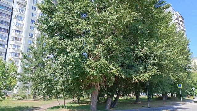 Нарциссическая травма. Метафорическая карта. Метафора. Образ травмы. Быть, а не казаться #нарцисс