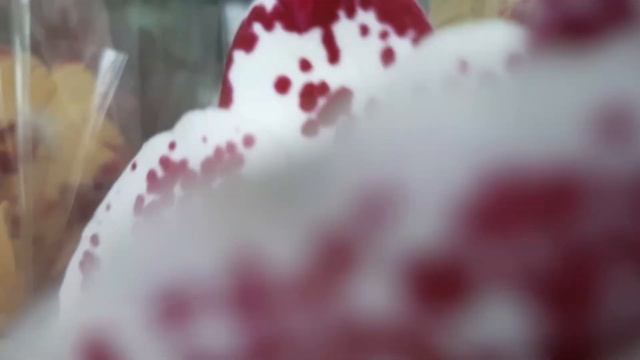 15.04.2023г. Замечательные орхидеи в с/ц Планета Лета. смотреть онлайн