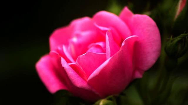 Самые лучшие русские песни о любви - класс! смотреть онлайн