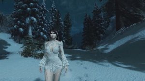 Skyrim (modded) - north road