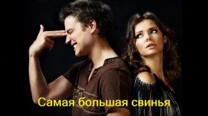 Самая большая свинья