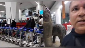 Аэропорт Дели, Индия/Аэрофлот, Дели-Москва часть 1