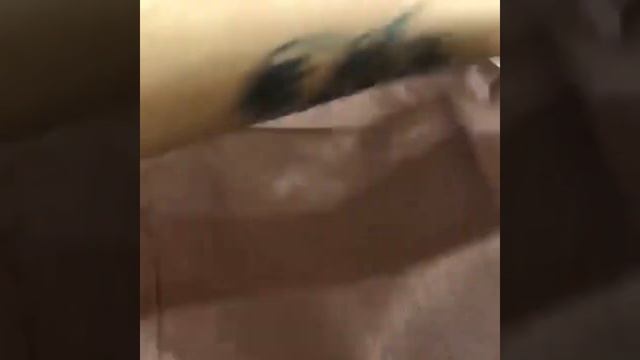 Однотонная тафта 300 EL Венге 300 см смотреть онлайн