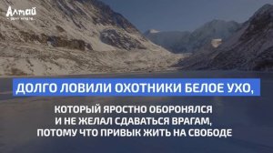 ЛЕГЕНДЫ ВОСТОЧНОГО КАЗАХСТАНА Гора Белуха