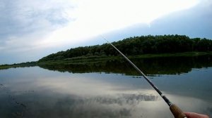 Ловля спиннингом - Ловля окуня  - Ловля на отводной поводок