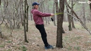 Пять упражнений на улице возле дерева для тех кому за 60 | Зарядка на природе