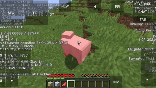 Boost Fps in Pojavlauncher with this Mod смотреть онлайн