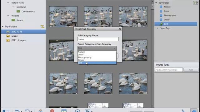 Learn how to use Photoshop Elements 11 - Part 15 - Using Keyword Tags With Your Digital Photos