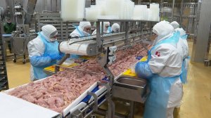 Виктору Томенко побывал на "Алтайском бройлере" после масштабной модернизации (Бийское телевидение)