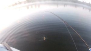 На озеро Раухово с сыном Кириллом